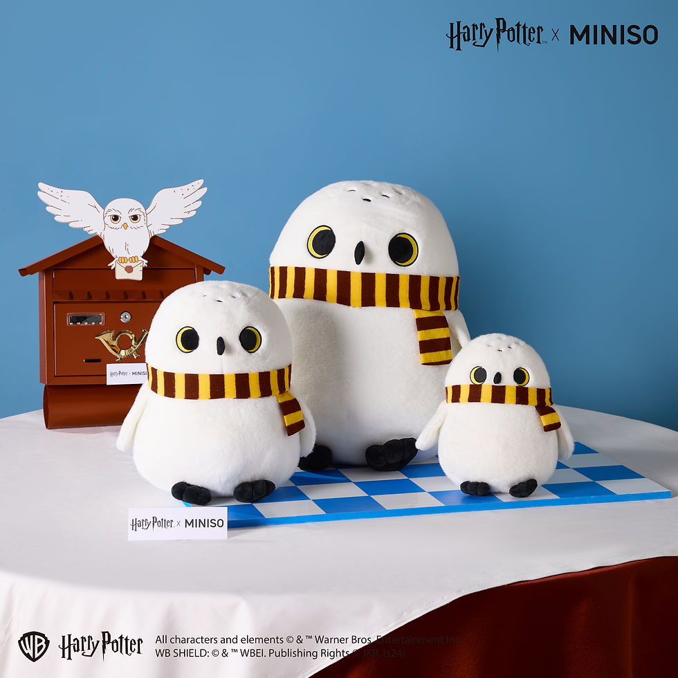 Harry Potter | MINISO